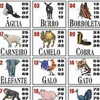 Ícone do aplicativo